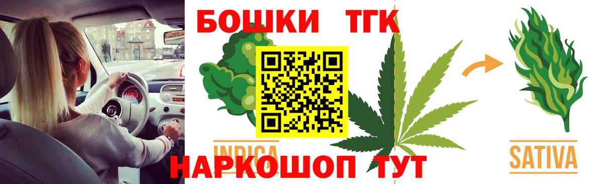 Бошки Шишки планчик Тосно